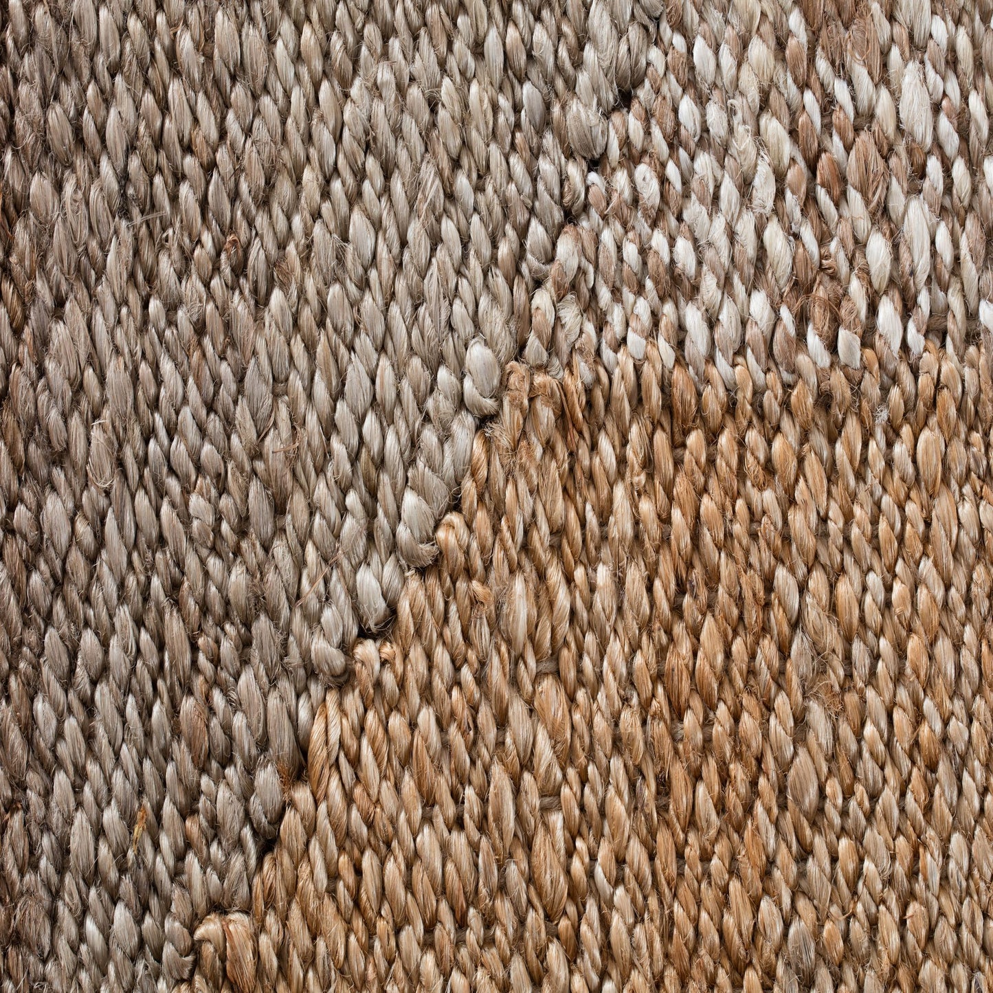 Eden Natural and Tan Jute Area Rug